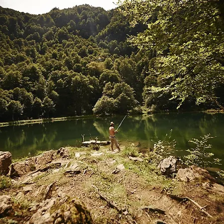 腊哈特度特普思住宿加早餐旅馆 Montesquieu-Volvestre