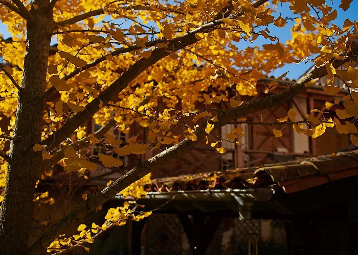 La Halte Du Temps Frühstückspension