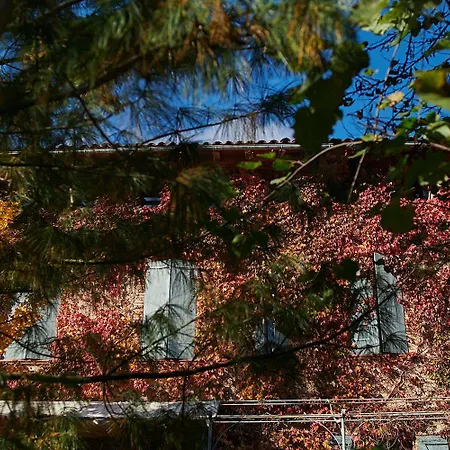 La Halte Du Temps Bed and breakfast Montesquieu-Volvestre