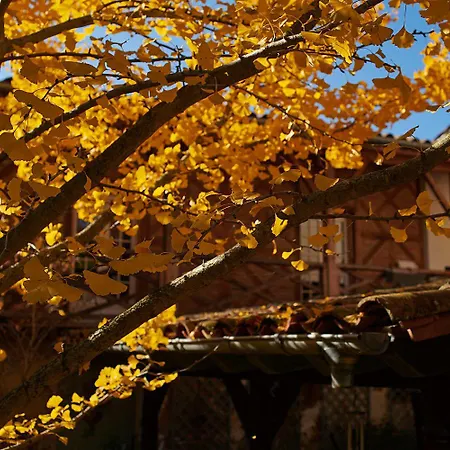 La Halte Du Temps Bed and breakfast