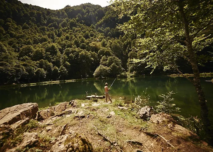 La Halte Du Temps Montesquieu-Volvestre